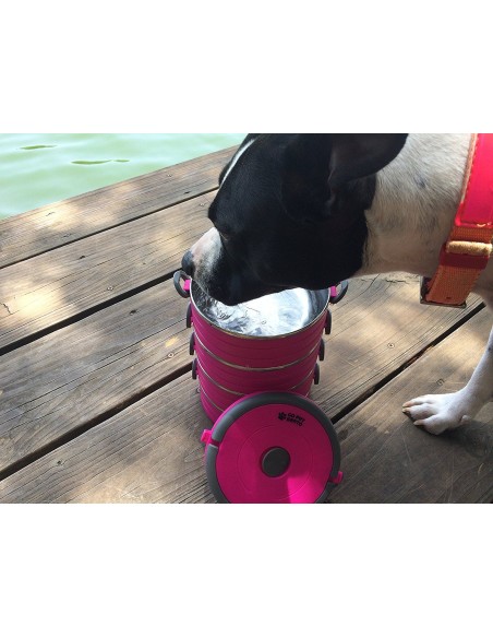 Healthy Human On The Go Pet Bento Ανοξείδωτα Μπολ Φούξια 3τεμ. 450ml Healthy Human On The Go Pet Bento Ανοξείδωτα Μπολ Φούξια 3τεμ. 450ml