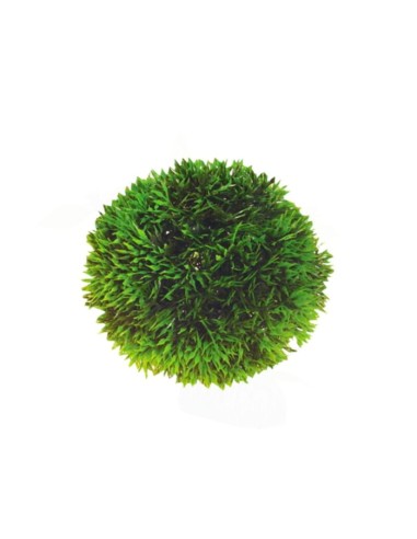 Hobby Ball Διακοσμητικά Φυτά Ενυδρείου 9cm