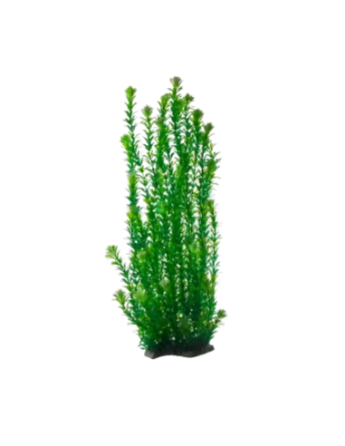 Nobleza Διακοσμητικά Φυτά Ενυδρείου 65cm
