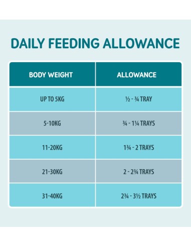 Naturo Dog Δισκάκι Σκύλου Grain Free Με Σολομό, Πατάτα Και Λαχανικά 400gr