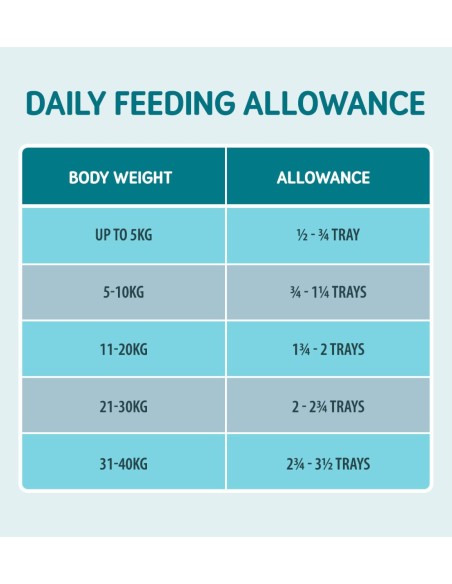 Naturo Dog Δισκάκι Σκύλου Grain Free Με Σολομό, Πατάτα Και Λαχανικά 400gr Naturo Dog Δισκάκι Σκύλου Grain Free Με Σολομό, Πατάτα Και Λαχανικά 400gr