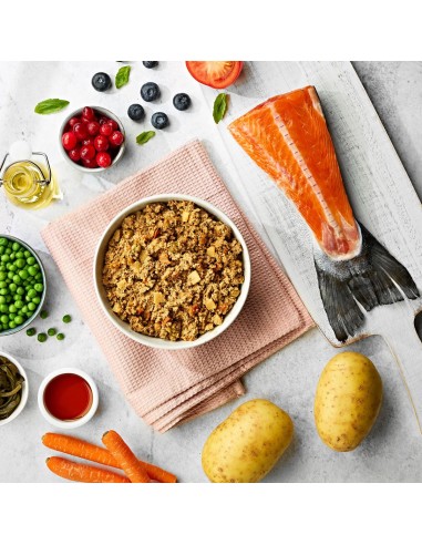 Naturo Dog Δισκάκι Σκύλου Grain Free Με Σολομό, Πατάτα Και Λαχανικά 400gr