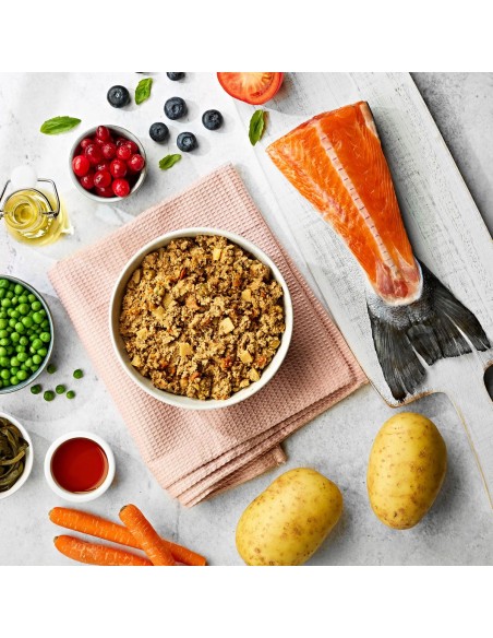 Naturo Dog Δισκάκι Σκύλου Grain Free Με Σολομό, Πατάτα Και Λαχανικά 400gr Naturo Dog Δισκάκι Σκύλου Grain Free Με Σολομό, Πατάτα Και Λαχανικά 400gr