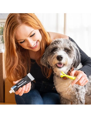 Petosan Toothbrush Οδοντόβουρτσα Διπλής Κεφαλής Για Σκύλους