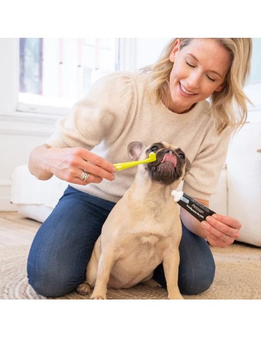 Petosan Toothbrush Οδοντόβουρτσα Διπλής Κεφαλής Για Σκύλους