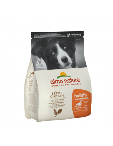 Almo Nature Holistic Dry Dogfood Medium-Large Με Κοτόπουλο και Ρύζι