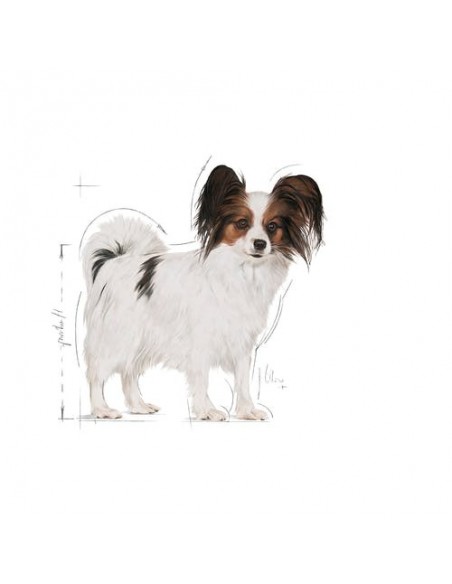 Royal Canin Dog Size Health Nutrition X-small Adult