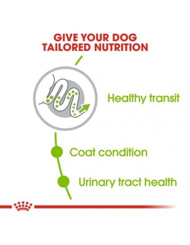 Royal Canin Dog Size Health Nutrition X-small Adult