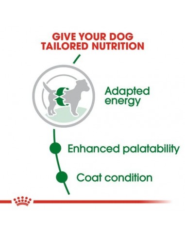 Royal Canin Dog Size Health Nutrition Mini Adult
