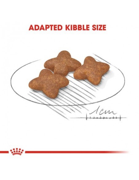 Royal Canin Dog Size Health Nutrition Mini Adult