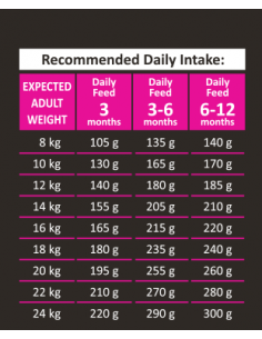 Black Olympus Puppy Με Κοτόπουλο & Ρύζι 2