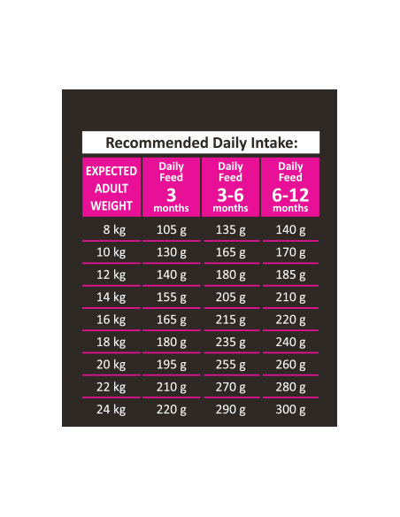 Black Olympus Puppy Με Κοτόπουλο Και Ρύζι