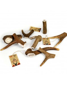 Celebrate Freshness Red Deer Antler Κέρατο Ελαφιού Για Σκύλους 1τεμ.