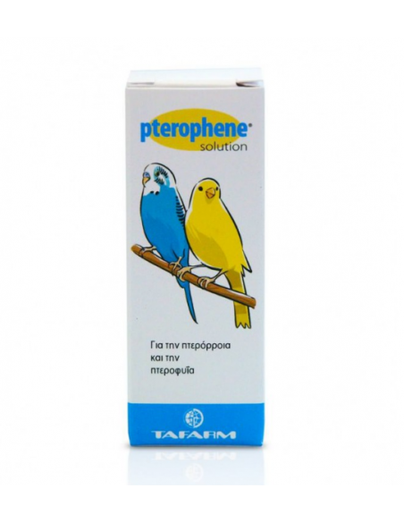 Tafarm Pterophene Solution Συμπλήρωμα Διατροφής Πτηνών Για Την Πτερόρροια Και Την Πτεροφυΐα 15ml Tafarm Pterophene Solution Συμπλήρωμα Διατροφής Πτηνών Για Την Πτερόρροια Και Την Πτεροφυΐα 15ml