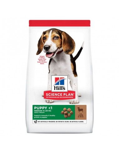 Hill's Science Plan Puppy Medium Τροφή Για Κουτάβια Με Αρνί 2.5kg