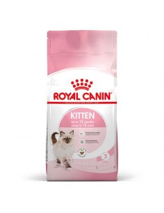 Royal Canin Cat Feline Health Nutrition Kitten