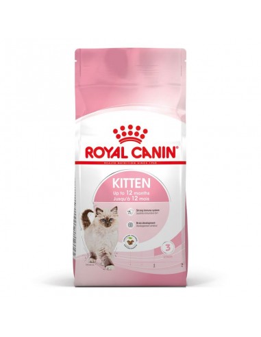 Royal Canin Cat Feline Health Nutrition Kitten
