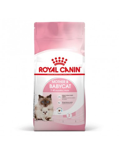Royal Canin Cat Feline Health Nutrition Mother & Babycat