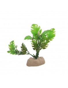 Boyu Διακοσμητικά Φυτά Ενυδρείου 10 cm
